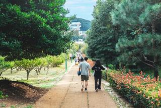 부산 평화공원에서 국화축제가 시작됐습니다!