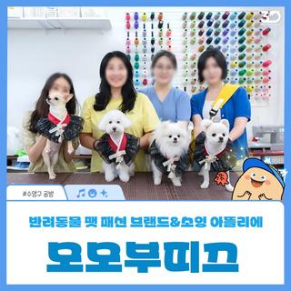 K-팻패션 수영구 반려동물 팻 패션 브랜드 소잉 아뜰리에 모모부띠끄(MOMOBOUTIQUE)