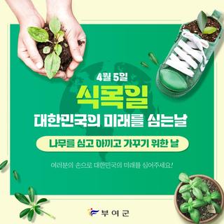 4월 5일 식목일!
