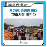 부여군, 충청권 최대 ‘고추시장’ 열린다
