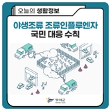 야생조류 조류인플루엔자(AI) 국민 대응 수칙