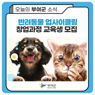 반려동물 업사이클링 제품 개발 창업 과정 교육생 모집