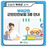 부여군민 군민안전보험 3종 안내