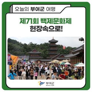 제71회 백제문화제 현장속으로
