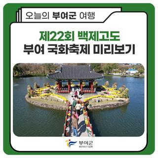✨제22회 백제고도부여국화축제 미리보기 ✨