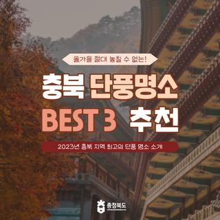 올가을 절대 놓칠 수 없는 충북 단풍 명소 BEST 3 추천