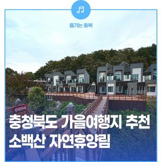 충북 추천 가을여행지, 소백산 자연휴양림&정감록 명당 체험마을