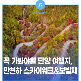 단양에 꼭 가봐야 할 가을여행지! 만천하 스카이워크&보발재