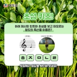경북 청도군의 특산물? 그림 연상 초성퀴즈!