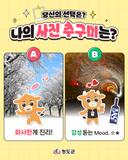 밸런스 게임: 화사한 벚꽃길 VS 감성 가득 와인터널, 당신의 선택은?