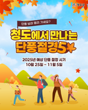 가을나들이 떠나기 좋은 가을단풍명소 추천 5 청도에서 만나는 단풍 절경