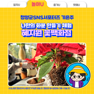 혜지원 꽃백화점에서 나만의 화분만들기 체험