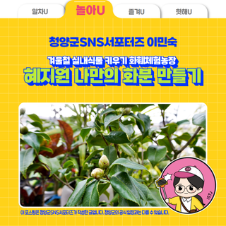 겨울철 실내 식물 키우기 화훼체험농장 혜지원 ‘나만의 화분 만들기’