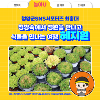 청양속에서 정원을 만나고 새로운 식물을 만나는 여행, 혜지원