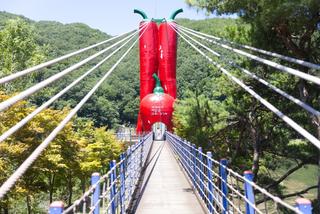 편하고 착한 출렁다리 찾으세요!? ‘천장호출렁다리’