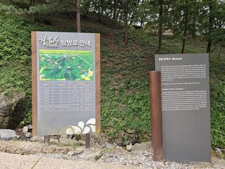 배롱나무 꽃 핀 여름날의 장곡사