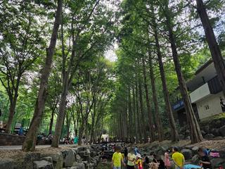 가족과 가기 좋은 청양의 여름 핫플칠갑산자연휴양림