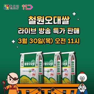 11번가 철원오대쌀 라이브 특가 판매 (3.30)