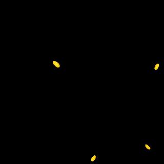 한탄강 래프팅 후엔 고기로 기력보충! 한탄강 근처 맛집