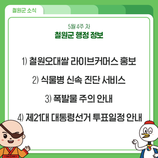 5월 4주 차 철원군 행정 정보 안내