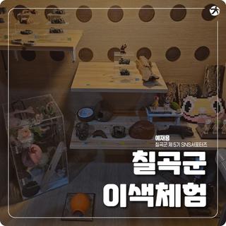 이색 파충류 체험 카페 “로맨틱게코”