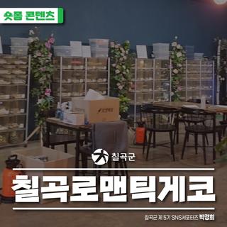 [숏폼] 칠곡이색카페, 파충류카페, 로맨틱게코!