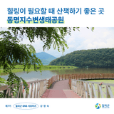 [칠곡서포터즈] 힐링이 필요할 때 산책하기 좋은 곳! 동명지수변생태공원