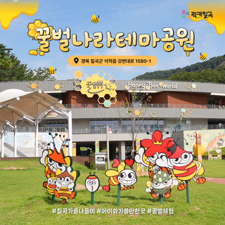 [칠곡곳곳] 아이와 주말 가을 여행 떠나기 좋은 곳 : 꿀벌나라테마공원