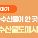 안산 농수산물도매시장 장보기 꿀팁! 과일·채소·수산물이 한 곳에