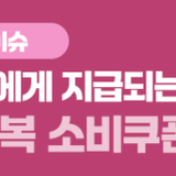 민생회복 소비쿠폰 지급 안내