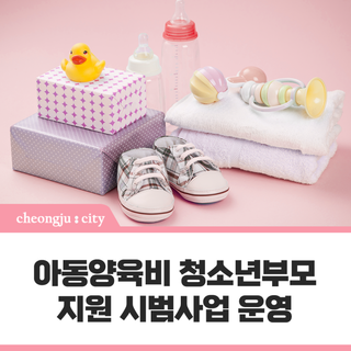 아동양육비 청소년부모 지원 시범사업 운영