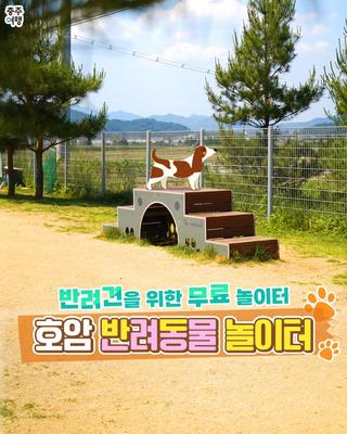 충주 무료 반려견 놀이터｜강아지 놀이터, 무료로 놀고가세요!!