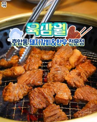 충주맛집｜충주 회식, 양념돼지갈비, 한우맛집 호암동 "육삼월"
