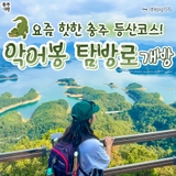 충주 악어봉 탐방로 개방! 요즘 핫한 충주 가을 등산코스 추천