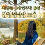 충주 늦가을 감성 캠핑장 모음 4ㅣ카누캠핑장, 소리의섬캠핑, 잭슨글램핑, 햇살아래캠핑장