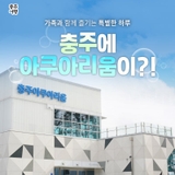 충주 아쿠아리움 오픈!아이들과 즐기는 실내 나들이 명소