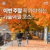 충주 가을 여행지 추천! 단풍 절정의 ‘충주호 가을축제 & 충주호 크루즈 단풍여행’