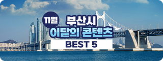 부산시 11월 이달의 콘텐츠 BEST 5
