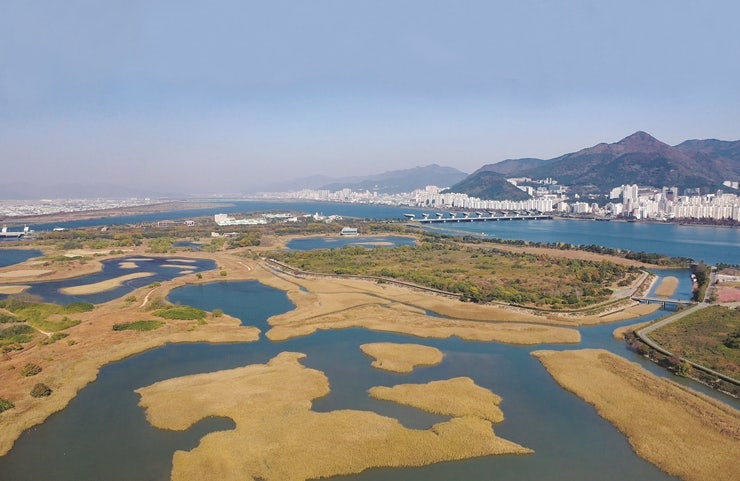 Busan Eulsukdo 2027 — KRW 380 Million Ecological Public Art Commission