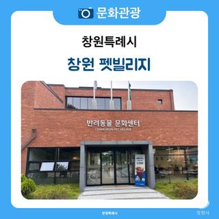 창원 펫빌리지 놀이터 대형견도 가능한 무료 놀이터 동물 친화 공간