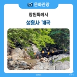 창원 근교 피서 명소 울창한 숲에서 즐기는 성흥사 계곡