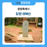 창원 태복산 둘레길 걷고 편백 숲에서 산림욕 즐기기