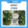 시가 있는 낭만 가득한 공원, 산호공원