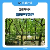 월영동 행정복지센터 앞 월영연못공원, 쉼과 기억이 공존하는 힐링 공간