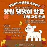 창원 댕댕이 학교 11월 교육 안내