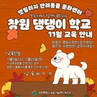 창원 댕댕이 학교 11월 교육 안내
