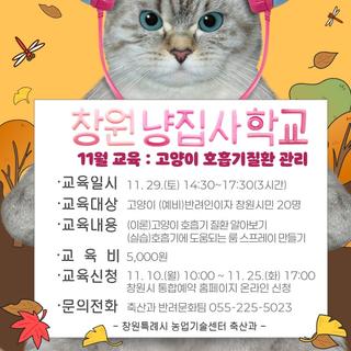 창원 냥집사 학교 11월 교육 안내
