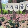 2025 공주 여름축제, 유구색동수국정원 꽃 축제 현장스케치