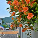 공주 하숙마을, 즉석떡볶이의 추억을 찾아서_중동오뎅집 · 중앙분식 · 신관 두끼 그리고 제민천 걷기