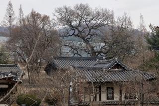 조선 시대 양반 가옥의 구조를 엿볼 수 있는 '제월당'